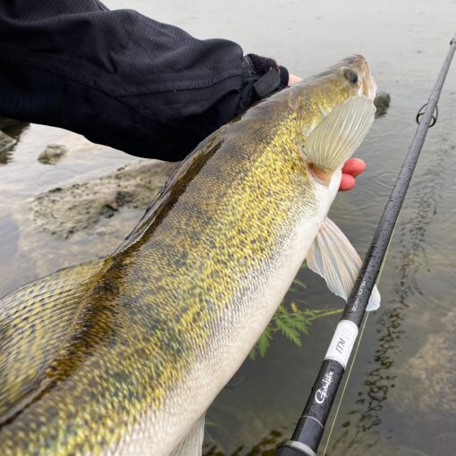 Gamakatsu ITM 80XH / 90XH Softbait – Bild 2